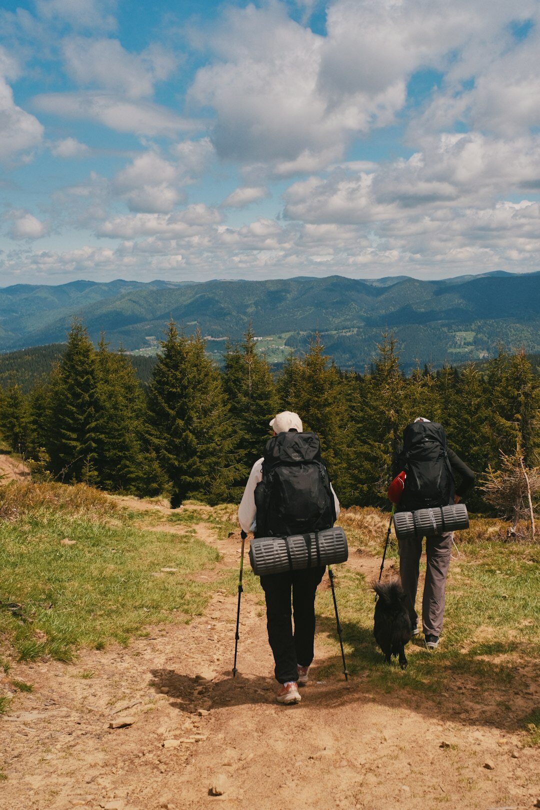 group of seniors hiking in mountains