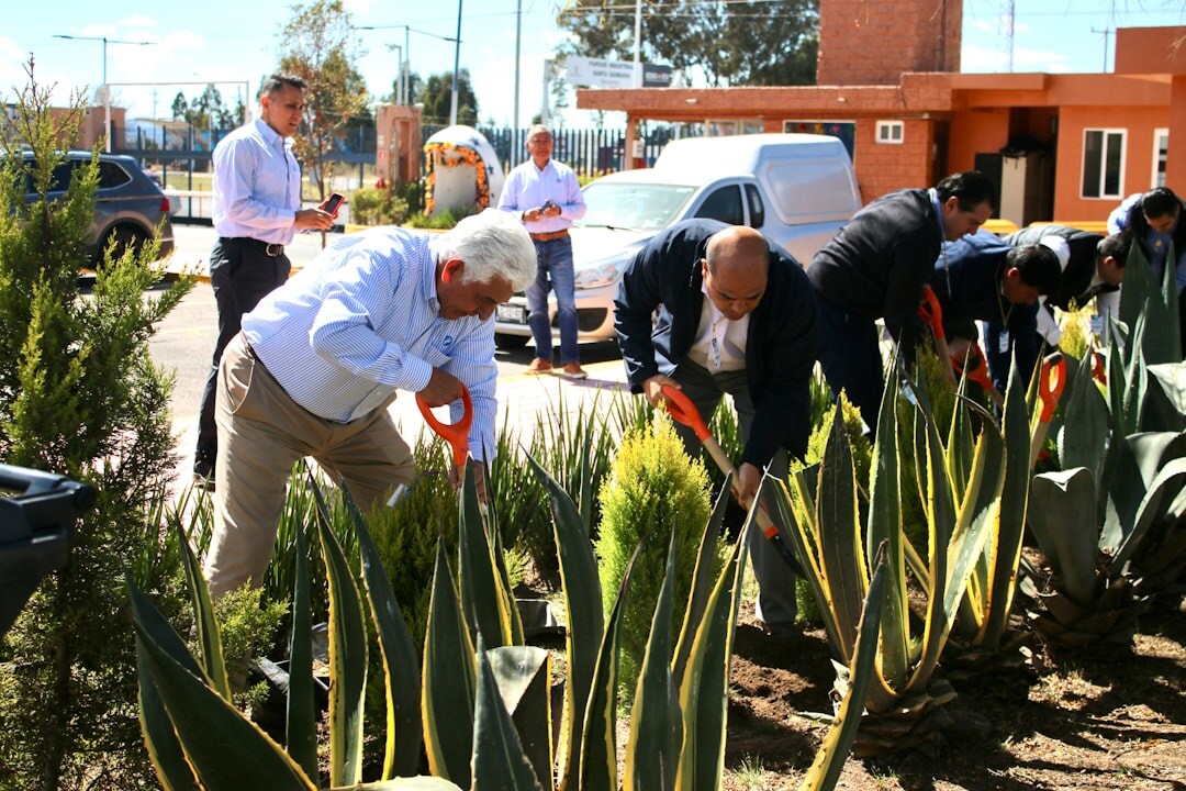 seniors gardening together